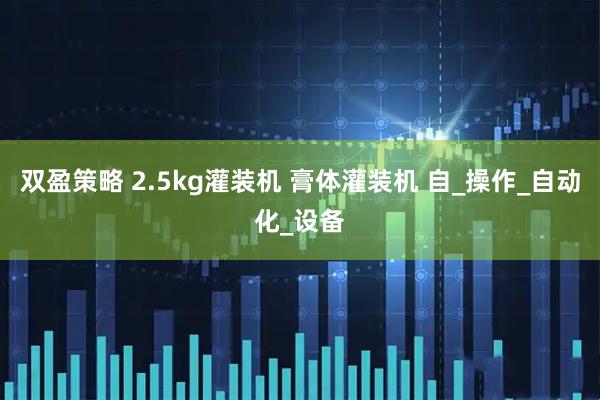 双盈策略 2.5kg灌装机 膏体灌装机 自_操作_自动化_设备
