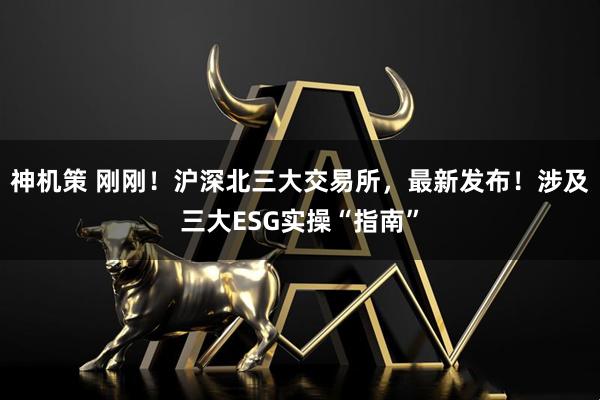神机策 刚刚！沪深北三大交易所，最新发布！涉及三大ESG实操“指南”